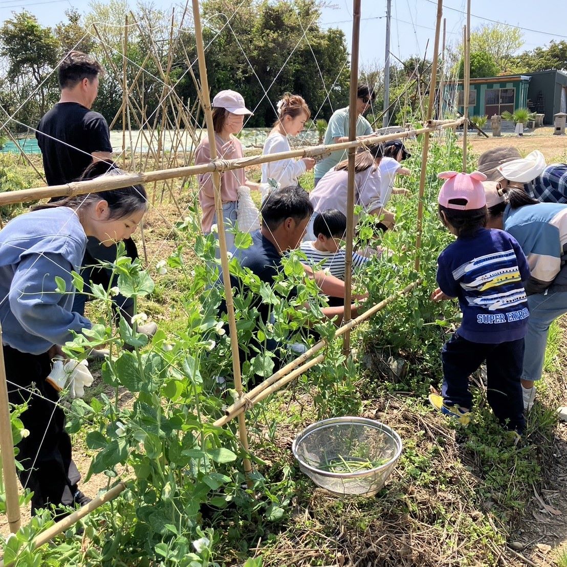 🌴 夏休み特別企画 🌿【五感で遊ぶ】1泊2日 子ども体験リトリート